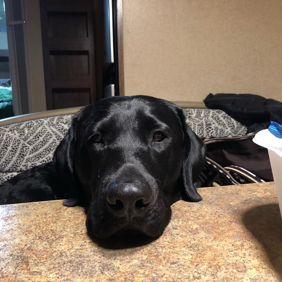 Meet your Posher, Kim - Picture 1 of 6